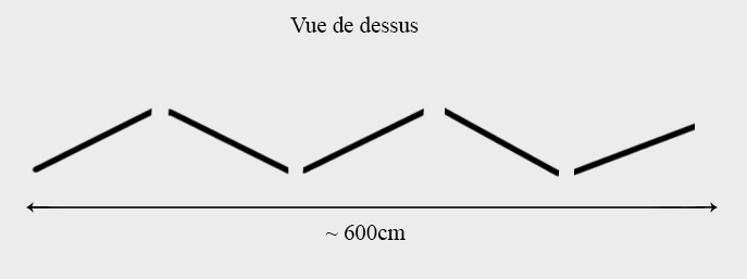 Vue de dessus renard